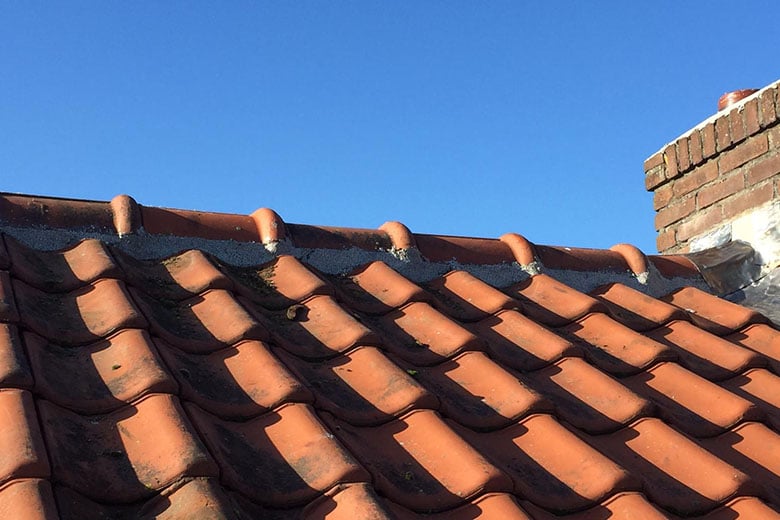 Nokvorstrenovatie dakonderhoud door dakdekkersbedrijf Limburg