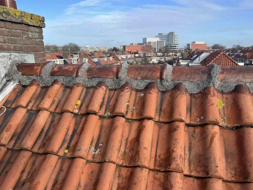 Nokvorst renovatie